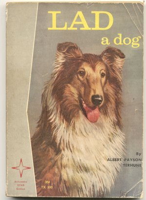 Lad A Dog~Albert Terhune~COLLIE~Sam Savitt~Vintage