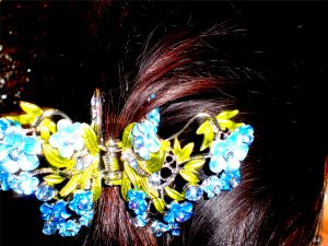 BUTTERFLY