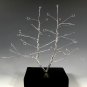 Jewelry tree stand holder display - JDT-2