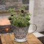 Metal Coal Bucket