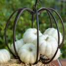 Cream Beaded Pumpkins 8 piece set