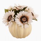 10" Cream Sunflowers in Pumpkin