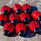 Ladybug Art Glass Set of 5