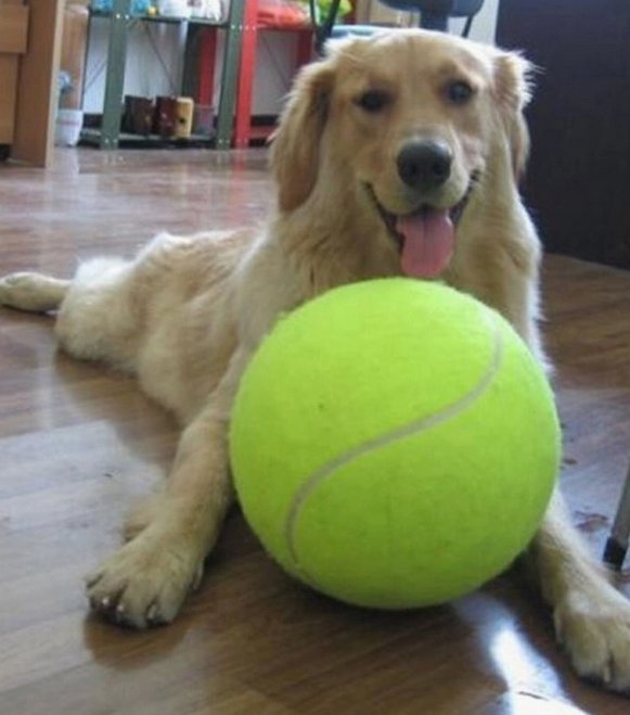 Jumbo Tennis Ball