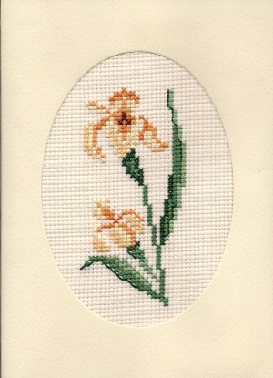 Finished Completed Cross Stitch Card - Iris Flower