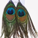 Peacock Feather Earrings