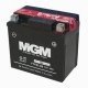 Motorcycle Battery