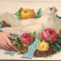 Victorian Calling Cards - Beautiful Young Woman