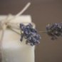 Handmade Soap Olive Oil Natural Guest Soap Banana Coconut