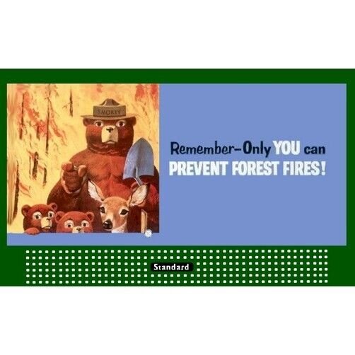 LIONEL STYLE BILLBOARD INSERT SMOKEY THE BEAR & AMERICAN FLYER