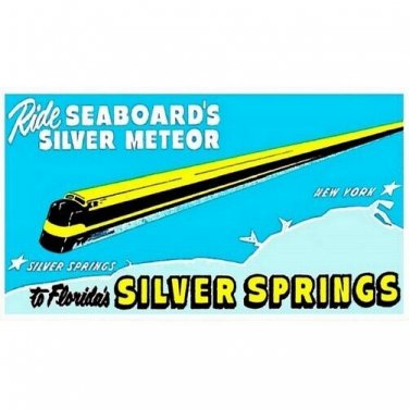 PLASTICVILLE BILLBOARD INSERT  SILVER SPRINGS