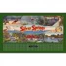 SILVER SPRINGS FLORIDA BILLBOARD INSERT LIONEL Compatible 310 /American Flyer SILVER SPRINGS FLORIDA BILLBOARD INSERT LIONEL Compatible 310 /American Flyer
