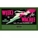 WEEKI WACHEE MERMAIDS BILLBOARD INSERT LIONEL Compatible 310/American Flyer