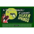 HO 1 1/2" x 3" BILLBOARD SIGN GLOSSY INSERT SILVER SPRINGS #2 HO 1 1/2" x 3" BILLBOARD SIGN GLOSSY INSERT SILVER SPRINGS #2