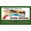 HO 1 1/2" x 3" BILLBOARD SIGN GLOSSY INSERT LOVELY TO LOOK AT SILVER SPRINGS HO 1 1/2" x 3" BILLBOARD SIGN GLOSSY INSERT LOVELY TO LOOK AT SILVER SPRINGS