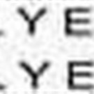 American Flyer 955 PASSENGER CAR AFL WATER SLIDE DECAL for S Gauge Trains Parts American Flyer 955 PASSENGER CAR AFL WATER SLIDE DECAL for S Gauge Trains Parts