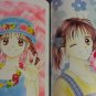 Marmalade Boy Illustrations
