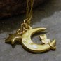 Gold Cat Sitting on a Crescent Moon ( Sailor Moon )