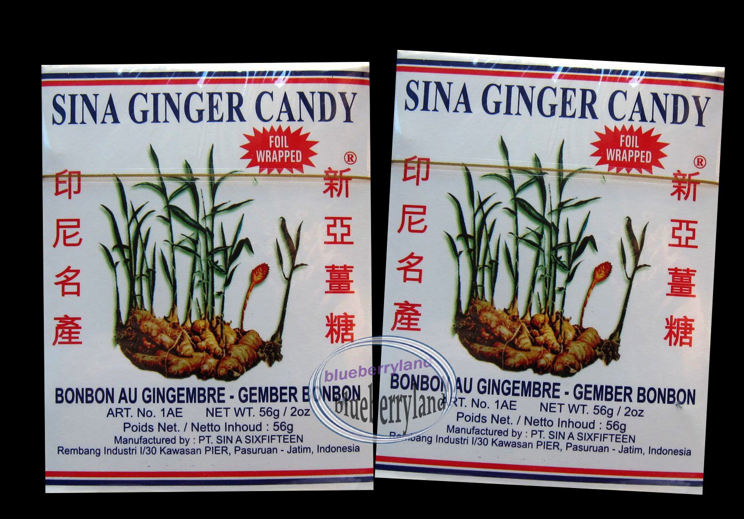 Indonesian Sina Ginger Candy Ting Ting Jahe Chewy Foil Wrapped 9 pcs pack