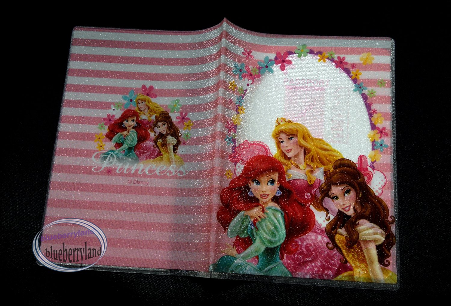 Disney PRINCESS Passport Holder cover travel Q14