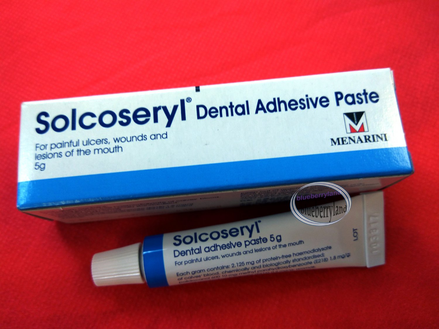 Solcoseryl Dental Adhesive Paste 5g ulcers pain relief Oral Care