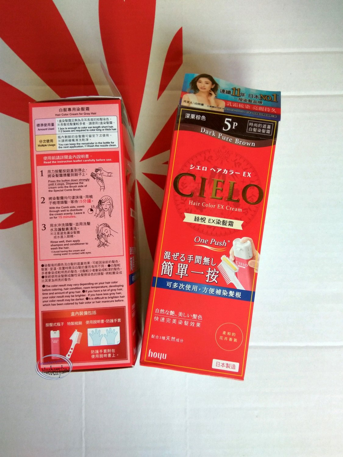 Japan hoyu CIELO Hair Color EX Cream for gray hair 5P dark chestnut brown