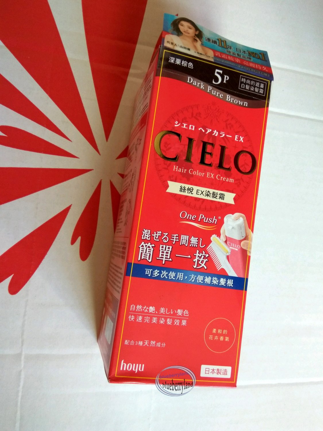 Japan hoyu CIELO Hair Color EX Cream for gray hair 5P dark chestnut brown