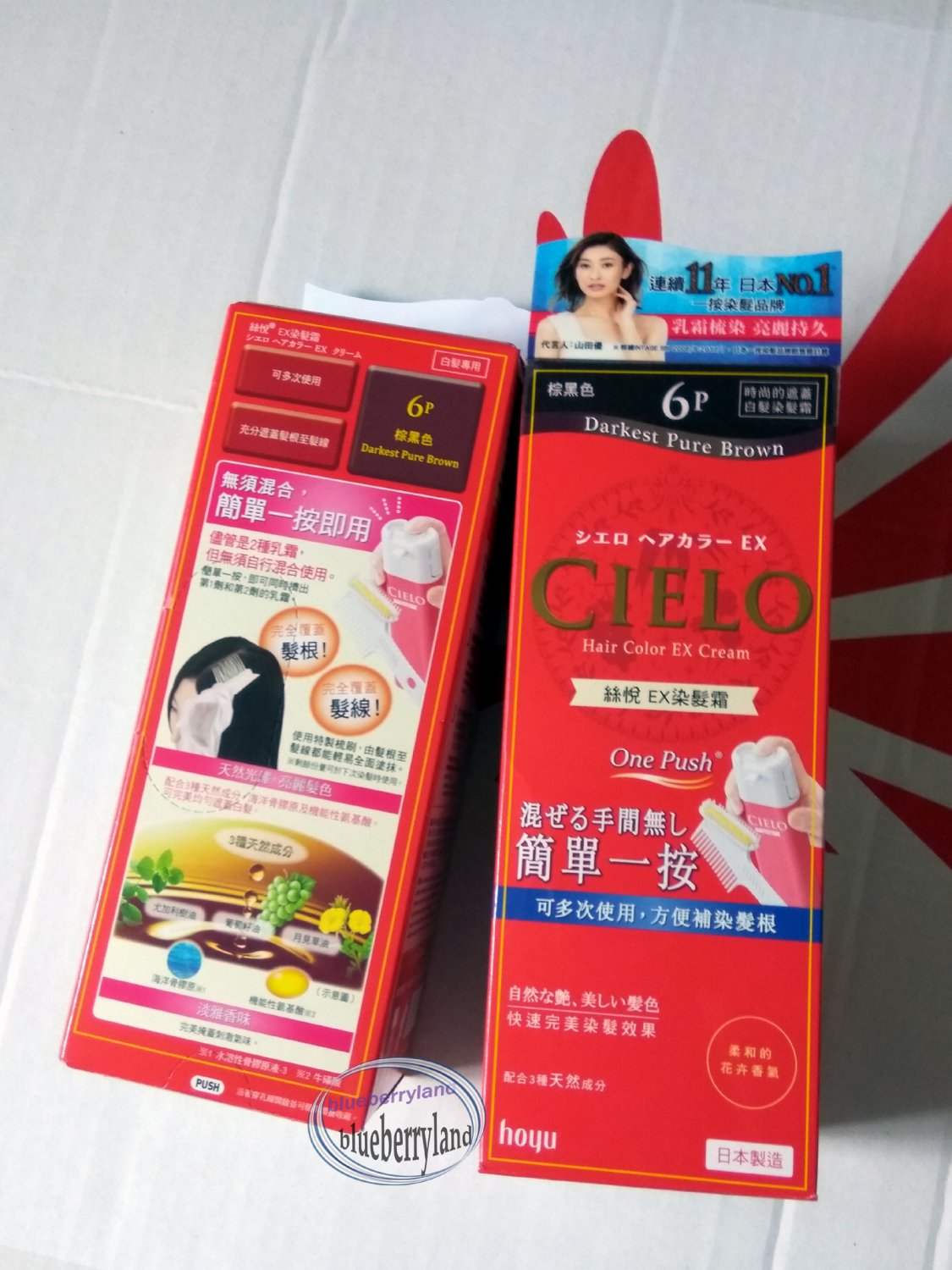 Japan hoyu CIELO Hair Color EX Cream for gray hair 6P Darkest Pure brown