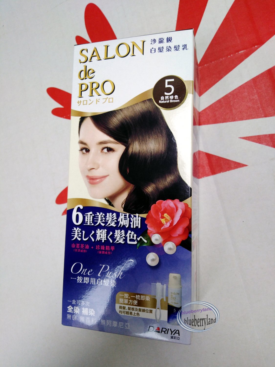 Japan Salon de Pro One Push Hair Color Cream Type Kit 5 Natural Brown