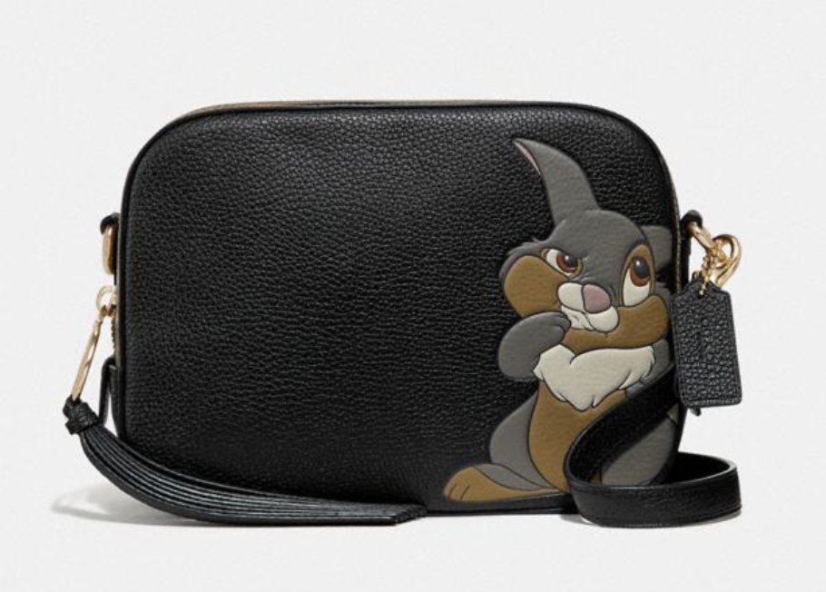 disney x coach camera bag