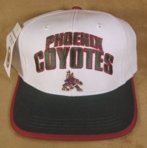 NHL LICENSED BASEBALL HAT PHOENIX COYOTES *NWT* SHIPS FREE*