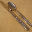 SUPERIOR STAINLESS U.S.A. RADIANT ROSE 2 PC. LOT *SHIPS FREE*
