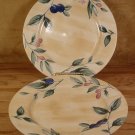 NIKKO SPRING DANCE #9830 FRUIT FLORAL DINNER PLATES EUC
