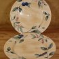 NIKKO SPRING DANCE #9830 FRUIT FLORAL DINNER PLATES EUC