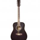 BGuitar 12 String Widebody Guitar-BLACK