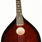 Coffee Mandolin