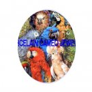 MACAW PARROT AFRICAN GREY BIRD COLLAGE CAMEO PORCELAIN