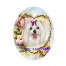MALTESE DOG ROSEHEART FORGETMENOT UNSET CAMEO PORCELAIN