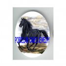 BLACK STALLION HORSE RUNNING UNSET CAMEO PORCELAIN CABO