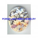 BABY SEA TURTLE SEASHELL * UNSET CAMEO PORCELAIN CABOCHON
