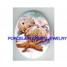 STARFISH AND SEASHELL * UNSET CAMEO PORCELAIN CABOCHON