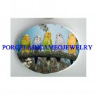 5 PARAKEET BUDGIE BIRD COLLAGE CAMEO PORCELAIN 18X25MM