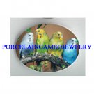4 PARAKEET BUDGIE BIRD COLLAGE CAMEO PORCELAIN CAB