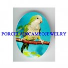 BABY PARAKEET BUDGIE BIRD  * UNSET CAMEO PORCELAIN CAB 18X25