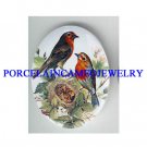 ROBIN BIRD FAMILY WITH BABY BIRD NEST*  UNSET CAMEO PORCELAIN CAB