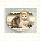 KITTY CAT PLAYING PIANO* UNSET PORCELAIN CAMEO CAB