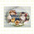 2 VICTORIAN KITTY CAT TALK TO CHICKS EASTER EGGS* UNSET PORCELAIN CAMEO CAB