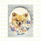 LONG HAIR CHIHUAHUA DOG WITH DAISY BUTTERFLY* UNSET PORCELAIN CAMEO CAB
