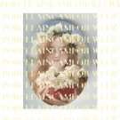 VICTORIAN LADY WITH ROSE WREATH CROWN HOLD ROSE  * UNSET PORCELAIN CAMEO CAB