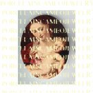 CATHOLIC VIRGIN MARY JESUS MADONNA CHILD ROSE PORCELAIN CAMEO CAB 9-11